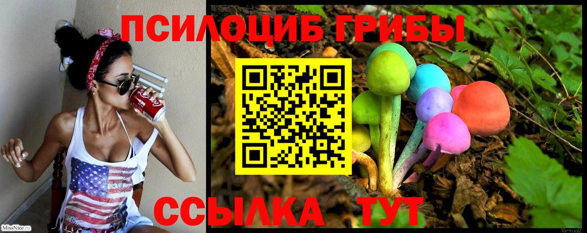Галлюциногенные грибы Psilocybine cubensis Александров