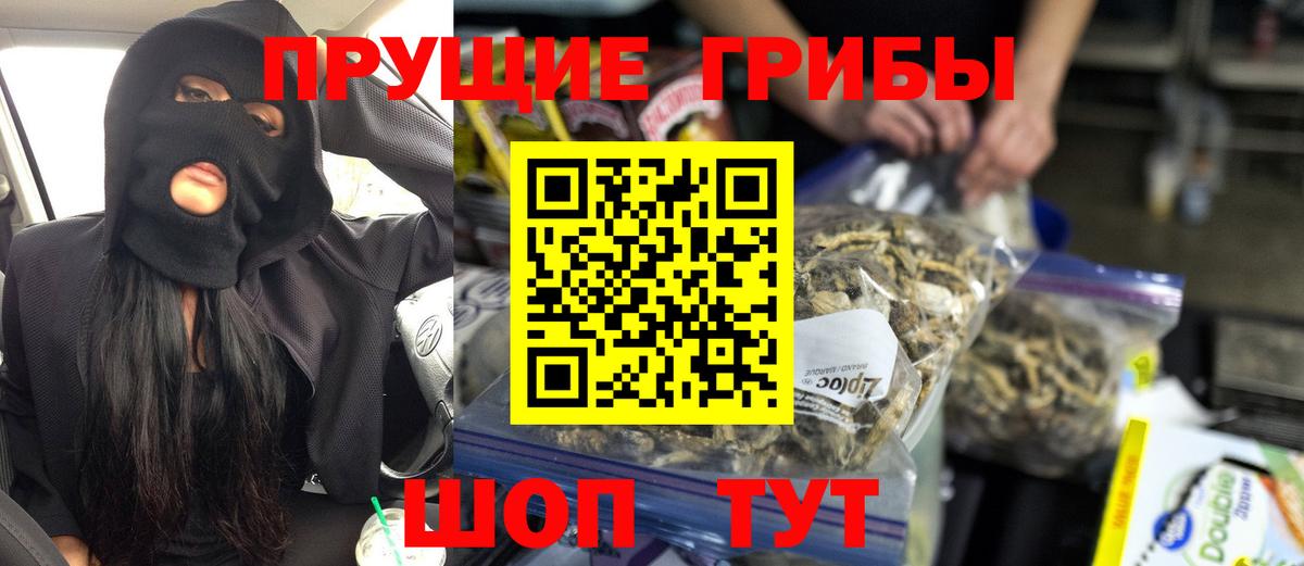 Александров  Псилоцибиновые грибы ЛСД  Псилоцибиновые грибы ЛСД  Вход с VPN 